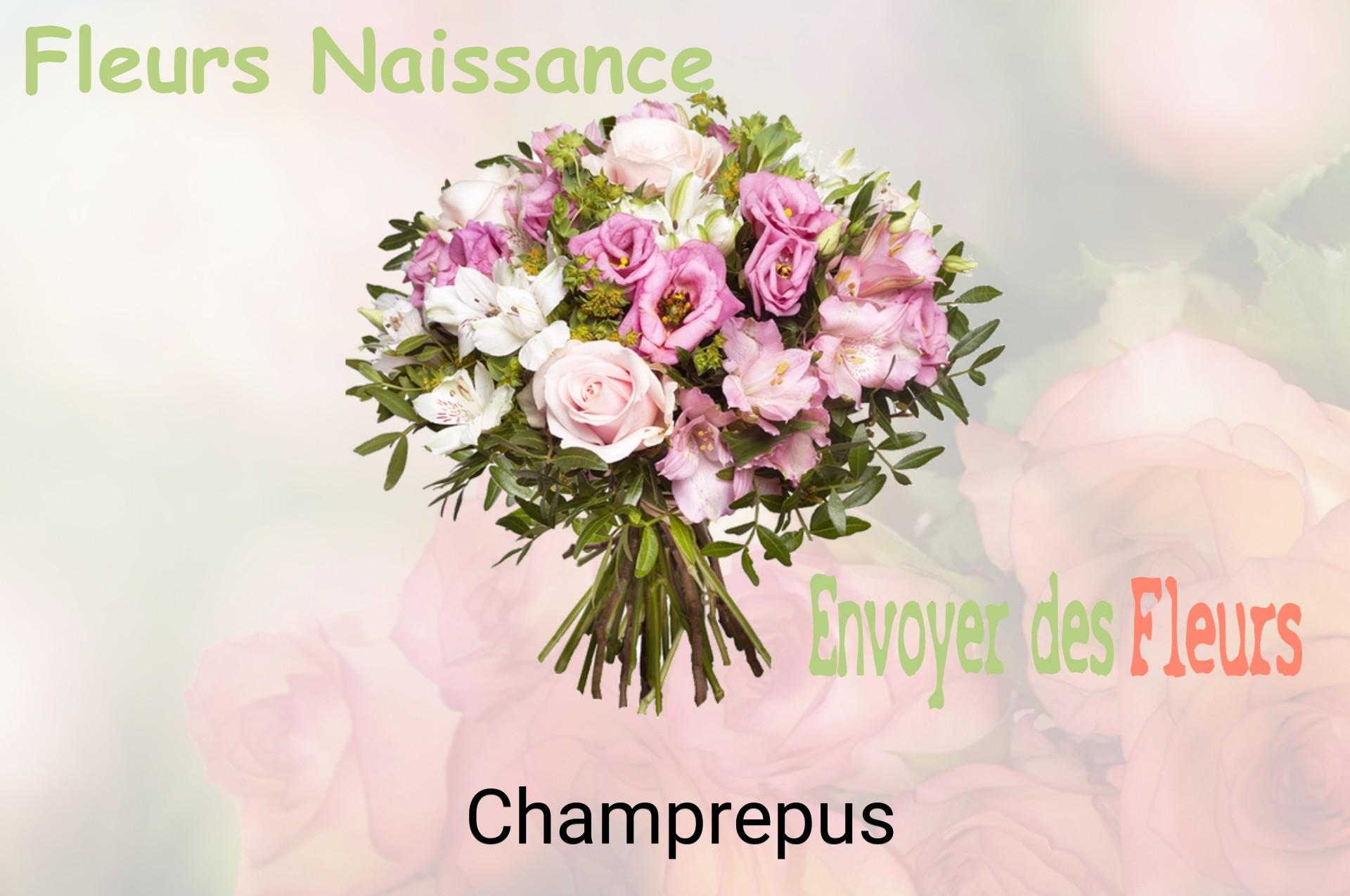 Bouquet de fleurs de naissance livré à Champrepus
