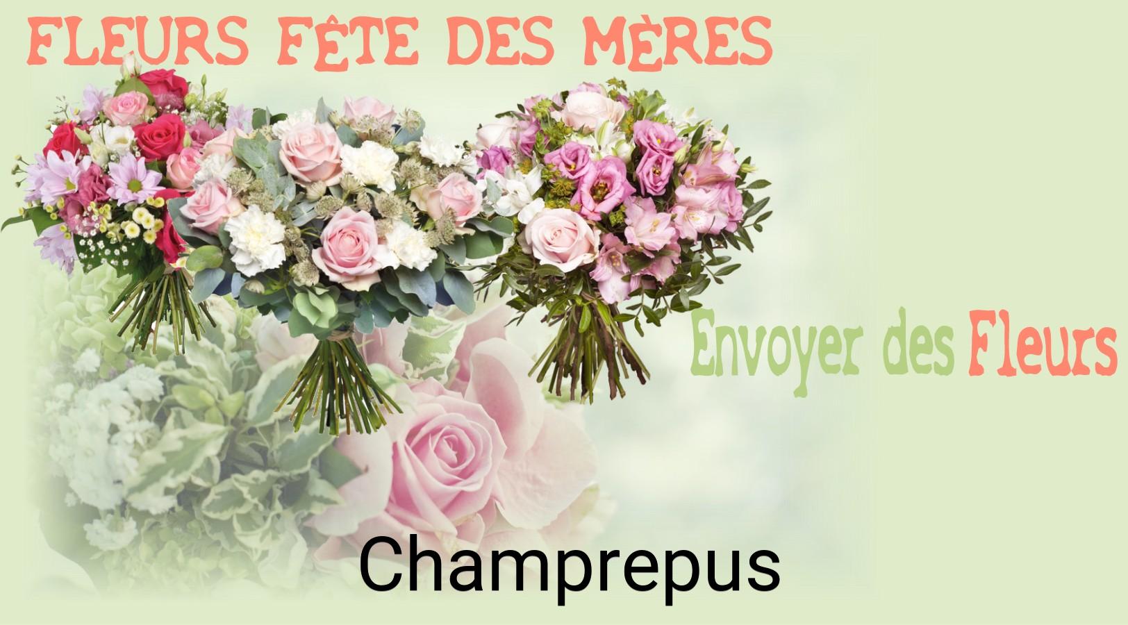 Bouquet de Fête des Mères livré à Champrepus